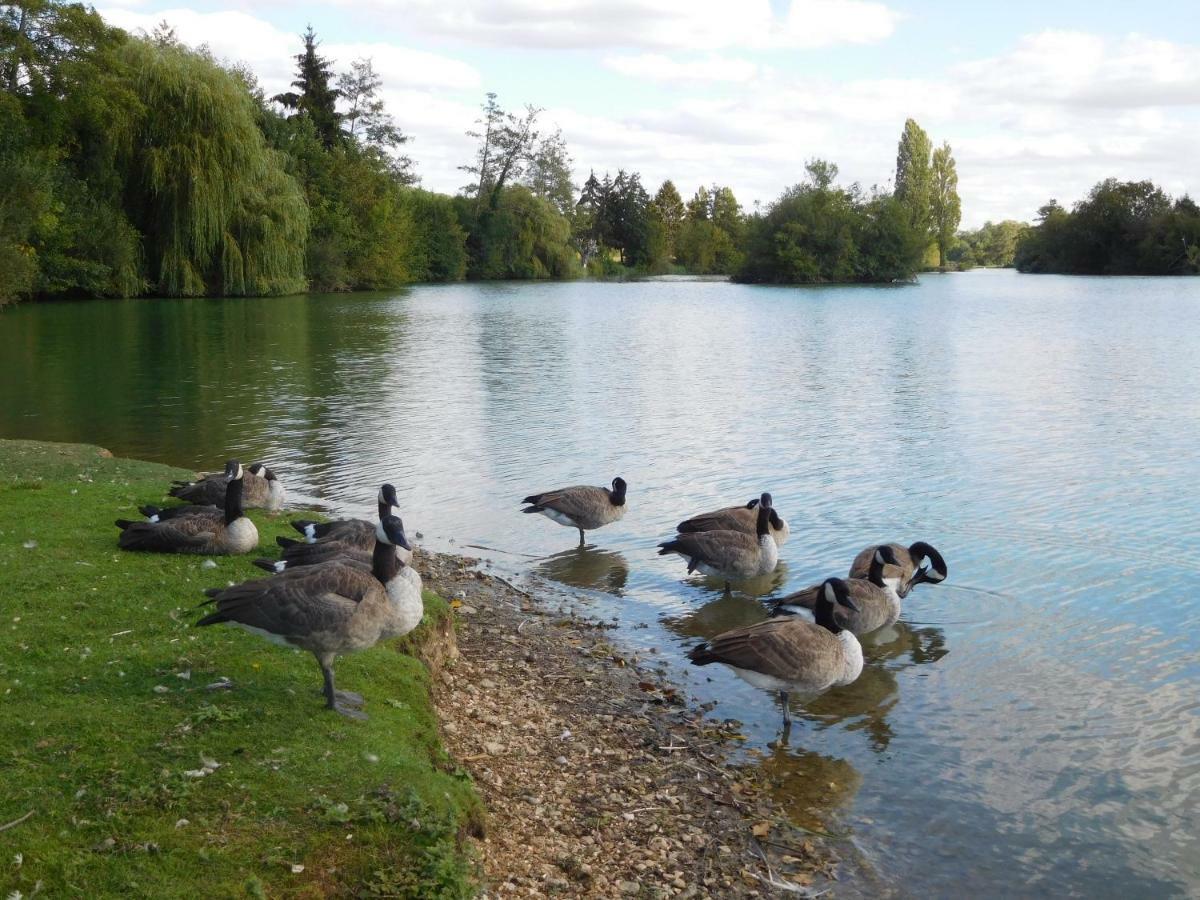 " D'Une Eure A L'Autre " Sainte-Gemme-Moronval ภายนอก รูปภาพ